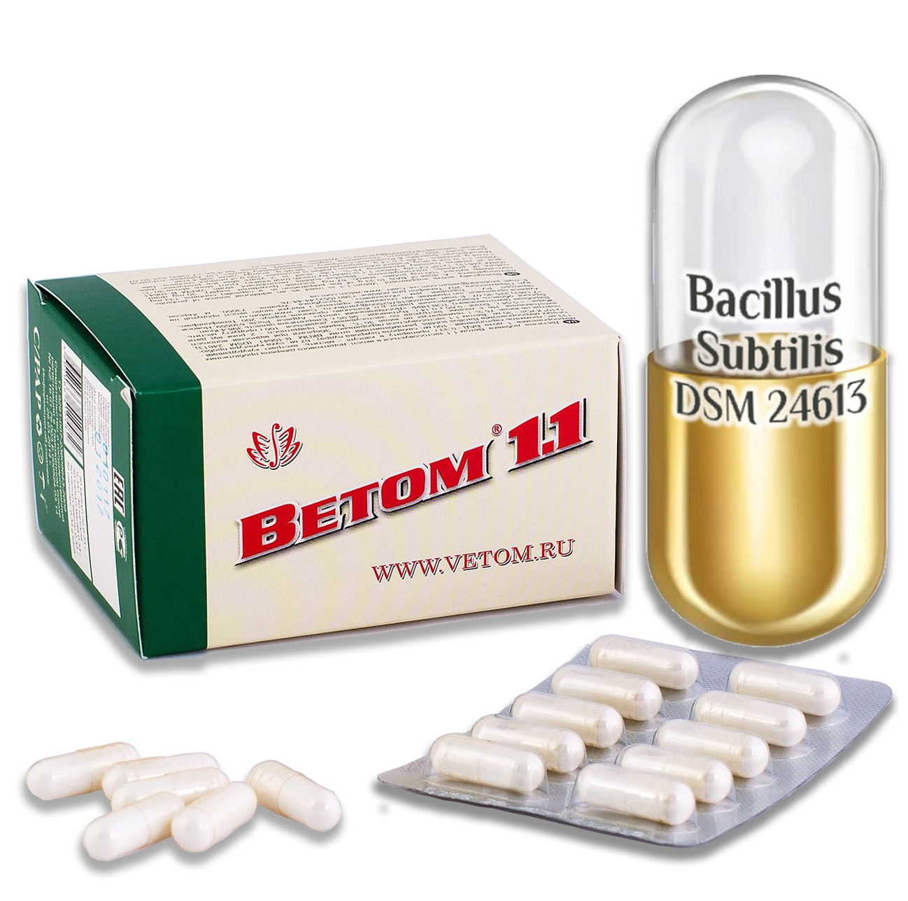 Probiotikum Vetom 1.1 kapszula 50 szemes (étrend-kiegészitő)